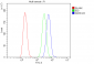 Anti-SDHB Antibody Picoband™ (monoclonal, 2I3)