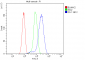 Anti-TJP1 Antibody Picoband™ (monoclonal, 3E12)