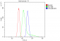 Anti-Human CD5 DyLight® 488 conjugated Antibody(monoclonal, 4E2)