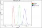 Anti-Hsc70 Antibody Picoband™(monoclonal, 3B6)