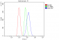 Anti-GAA Antibody Picoband™ (monoclonal, 2G7)