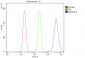 Anti-DDX5 Antibody Picoband™ (monoclonal, 3F9)