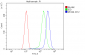 Anti-CD146/MCAM Antibody Picoband™ (monoclonal, 4C12)