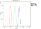 Anti-Thioredoxin 2/TXN2 Antibody Picoband™ (monoclonal, 7B5)