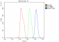 Anti-AKR1D1 Antibody Picoband™ (monoclonal, 6I4)