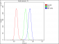 Anti-Bid Antibody Picoband™ (monoclonal, 10F4)