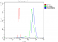 Anti-PP2A-alpha/PPP2CA Antibody Picoband™ (monoclonal, 3B6)