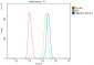 Anti-hnRNP D/AUF1/HNRNPD Antibody Picoband™ (monoclonal, 2B12)