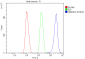 Anti-hnRNP D/AUF1/HNRNPD Antibody Picoband™ (monoclonal, 4F3)