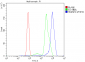 Anti-hnRNP D/AUF1/HNRNPD Antibody Picoband™ (monoclonal, 4F3)