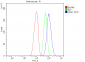 Anti-Liver Carboxylesterase 1/CES1 Antibody Picoband™ (monoclonal, 3F10)