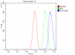 Anti-Clathrin heavy chain/CLTC Antibody Picoband™ (monoclonal, 6D3)