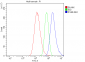 Anti-Integrin beta 5/ITGB5 Antibody Picoband™ (monoclonal, 9E2)