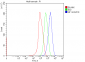 Anti-Neurofibromin/NF1 Antibody Picoband™ (monoclonal, 4C6F10)