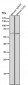 Anti-NELFB Rabbit Monoclonal Antibody