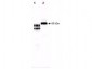 Anti-Fetuin (2-HS Glycoprotein) (GOAT) Antibody