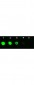 Anti-AKT3 (MOUSE) Fluorescein Conjugated Monoclonal Antibody