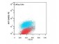 Anti-AKT1 (MOUSE) Phycoerythrin Conjugated Monoclonal Antibody