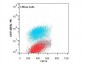 Anti-AKT1 (MOUSE) Phycoerythrin Conjugated Monoclonal Antibody