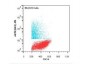 Anti-AKT3 (MOUSE) Phycoerythrin Conjugated Monoclonal Antibody