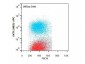 Anti-AKT1 (MOUSE) Allophycocyanin Conjugated Monoclonal Antibody