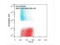 Anti-AKT3 (MOUSE) Allophycocyanin Conjugated Monoclonal Antibody