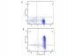 Anti-Human IL-6 (MOUSE) Monoclonal Antibody