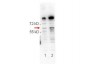 Anti-NFKB p65 (Rel A) pS276 (RABBIT) Antibody