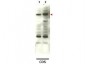 Anti-SMAD4 (RABBIT) Antibody