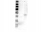 Anti-MEK2 (RABBIT) Antibody