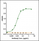 Anti-Monkeypox virus/MPXV M1R Nanobody (A013)