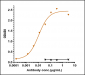 Anti-Monkeypox virus/MPXV M1R Antibody (A185)