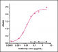 Anti-Monkeypox virus/MPXV M1R Antibody (A198)