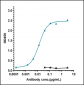 Anti-Monkeypox virus/MPXV B6R Antibody (A3)