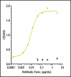 Anti-Monkeypox virus/MPXV A35R Mouse Antibody (A094)