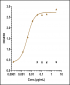 Anti-Monkeypox virus/MPXV A29L Antibody (A96)