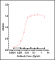 Anti-Monkeypox virus/MPXV A29L Mouse Antibody (B057)