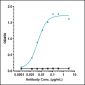 Anti-Monkeypox virus/MPXV A29L Mouse Antibody (B147)