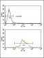 HADHA Antibody (C-term) [Knockout Validated]