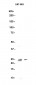 CD81 (17W19) Rabbit Monoclonal Antibody