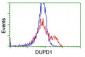 DUPD1 (DUSP27) (18A10) Mouse Monoclonal antibody