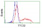 TTC32 (9P19) Mouse Monoclonal antibody