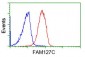 FAM127C (1O12) Mouse Monoclonal antibody