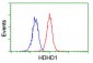 HDHD1 (5Z16) Mouse Monoclonal antibody