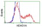 HDHD1A (15C12) Mouse Monoclonal antibody