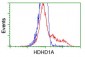 HDHD1A (13I13) Mouse Monoclonal antibody