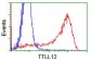 TTLL12 (11R19) Mouse Monoclonal antibody