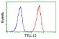 TTLL12 (11R19) Mouse Monoclonal antibody