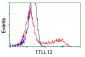 TTLL12 (5S1) Mouse Monoclonal antibody