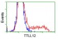 TTLL12 (13V7) Mouse Monoclonal antibody